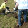 20100331224417photo-778