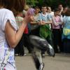20100521105423IMG 3662