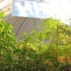 20091203104324IMG 6908