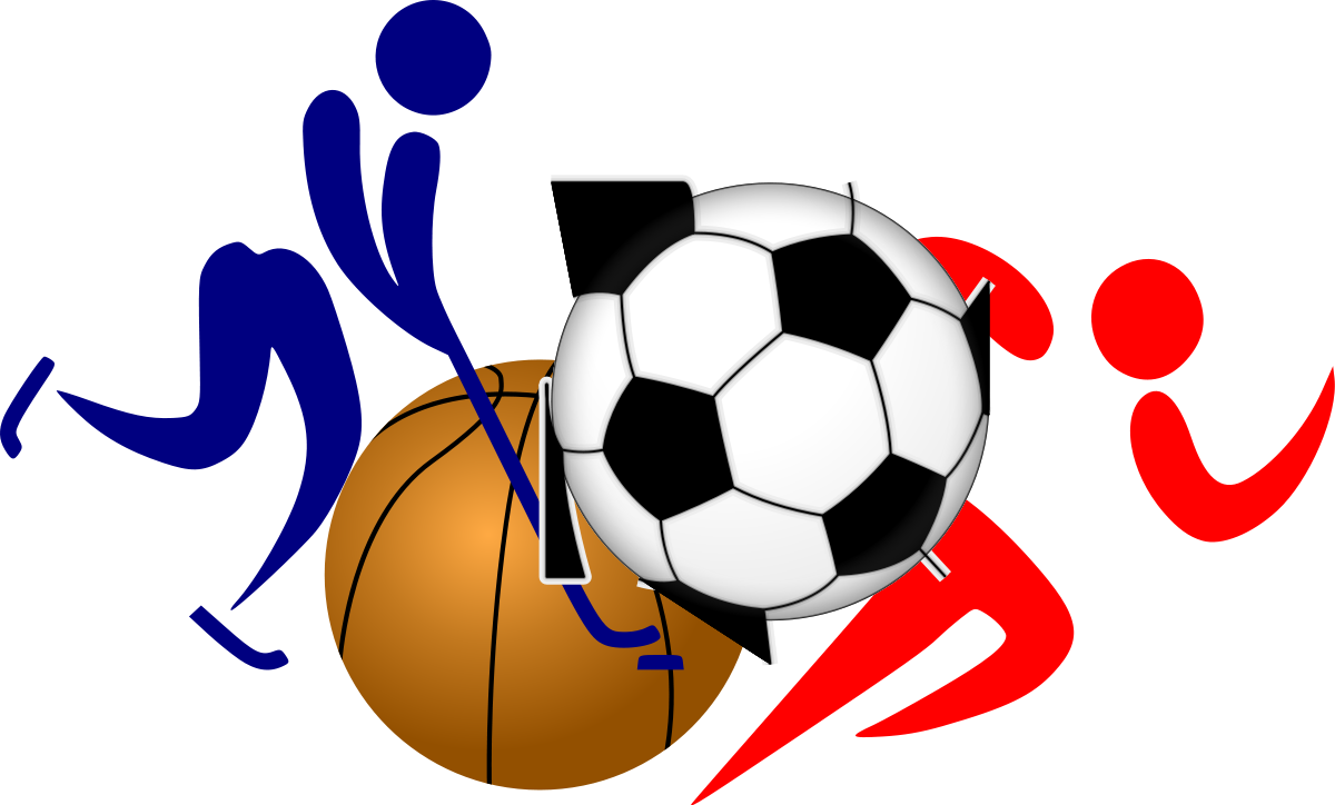 Zmiana orgnizacji zajęć sportowych 14-15 bm.